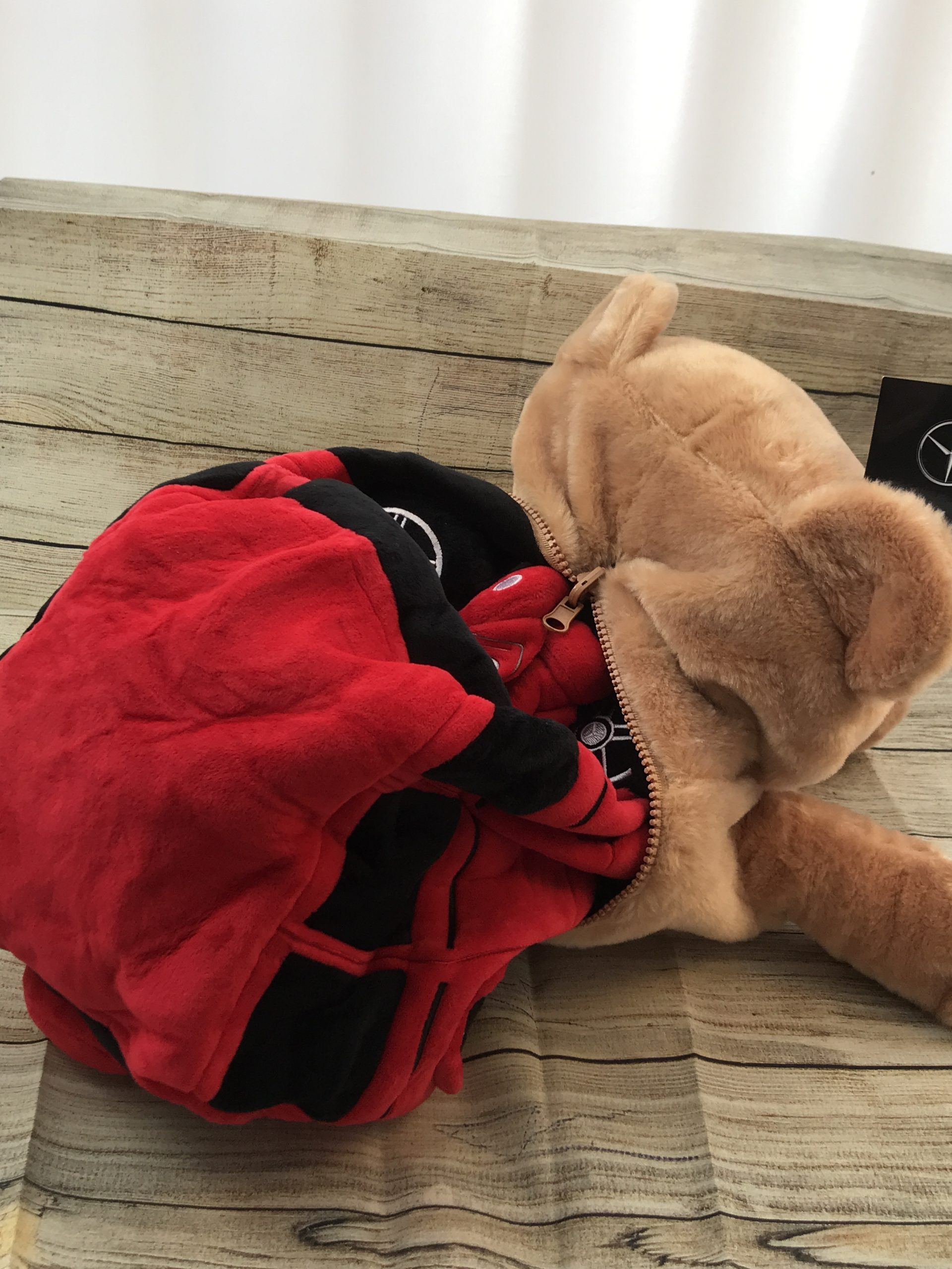 Wendebar Reversible Bear - Mercedes Benz Collection G-Class ( 2019)