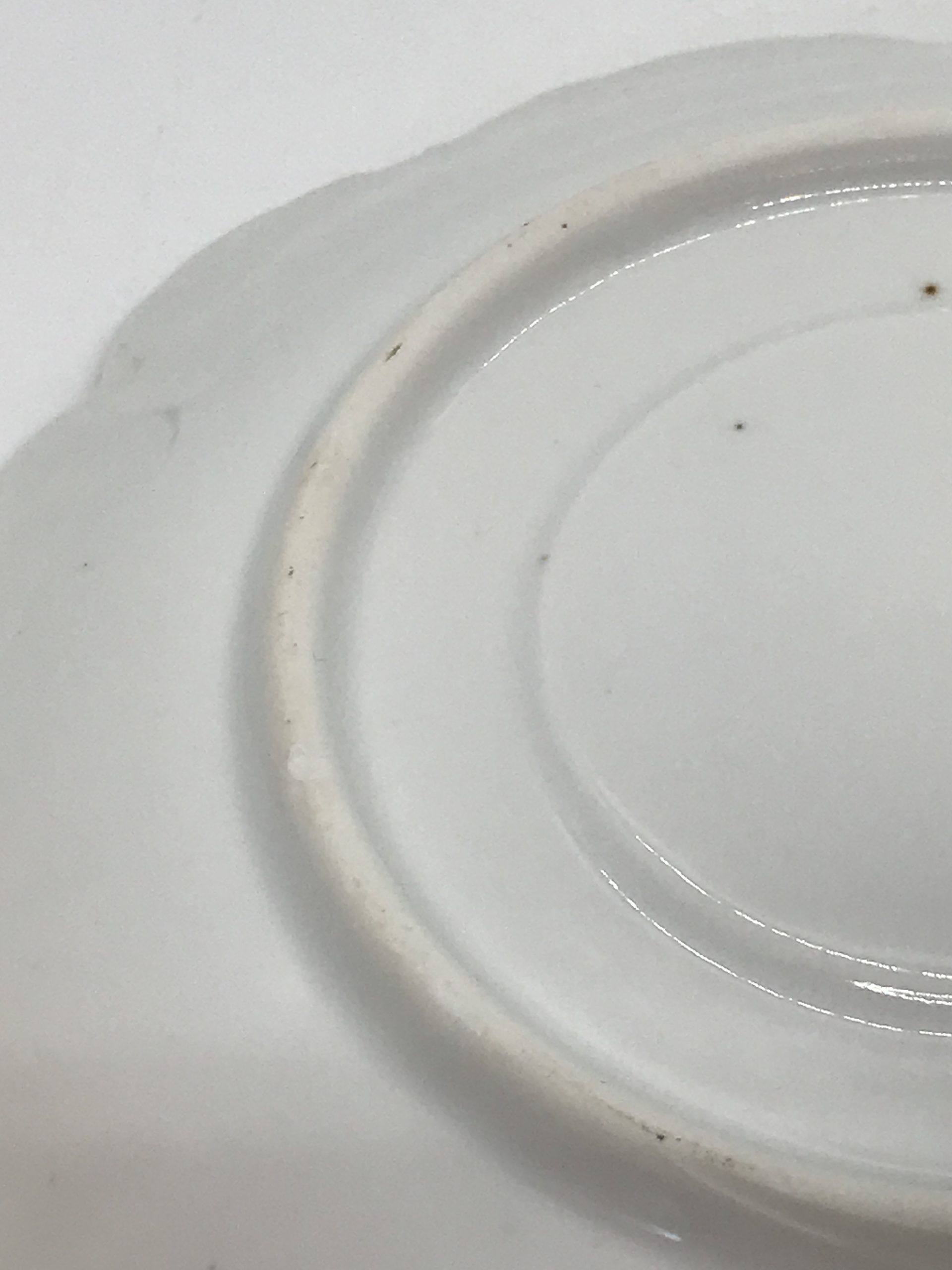 Moustache Cup and Saucer - Floral Pattern scalloped edge