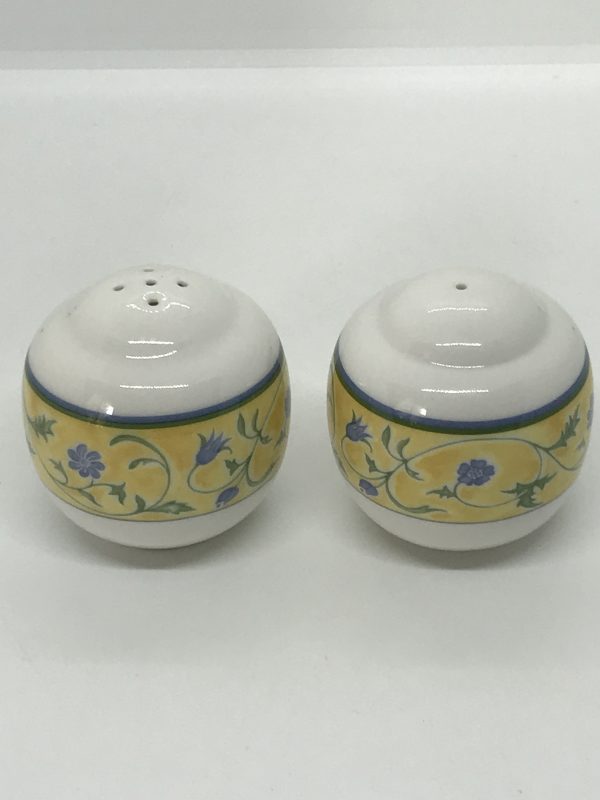 Royal Doulton Expressions Summer Breeze Salt and Pepper Vintage Keepsakes