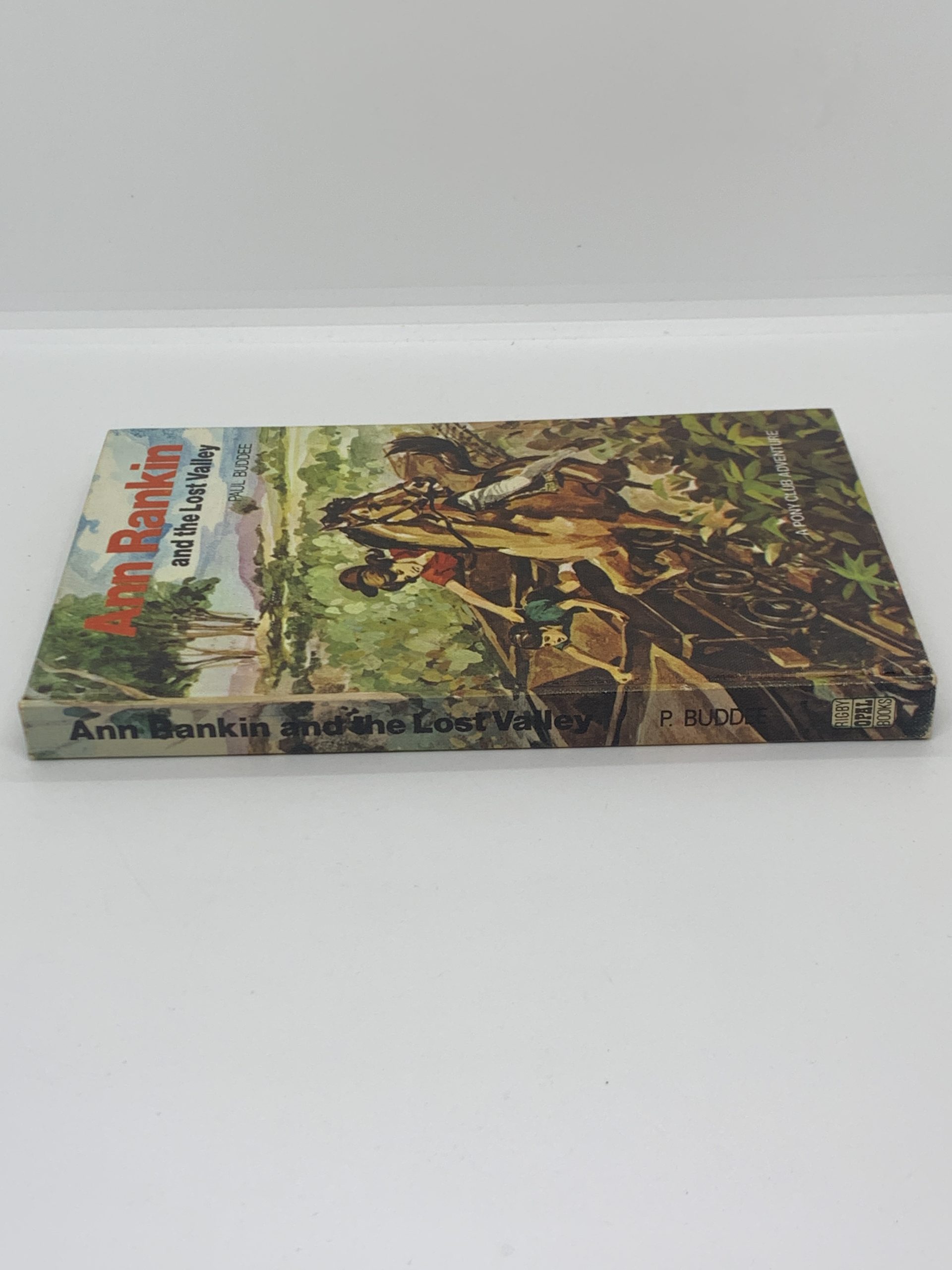 Ann Rankin and the Lost Valley - Paul Buddee - Rigby Opal Books 1973 ...