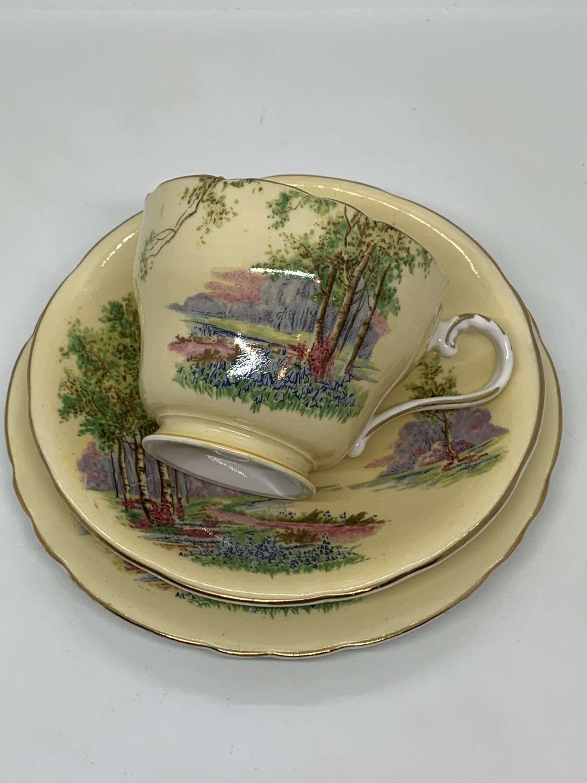 Aynsley Bone China Trio Woodland Scene - C493/7 - Vintage Keepsakes